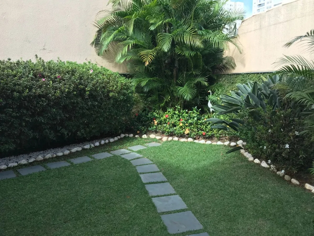 Jardim com gramado, caminho de pedras, cerca-viva e palmeira junto ao muro, antes da reforma